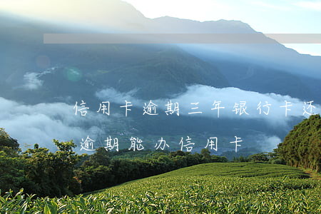 信用卡逾期三年银行卡还可以用吗(三年前有逾期能办信用卡)