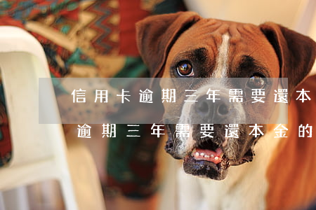 信用卡逾期三年需要還本金的兩倍-信用卡逾期三年需要還本金的兩倍利息嗎