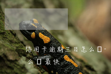 信用卡逾期三日怎么辦-信用卡逾期三日怎么辦最快