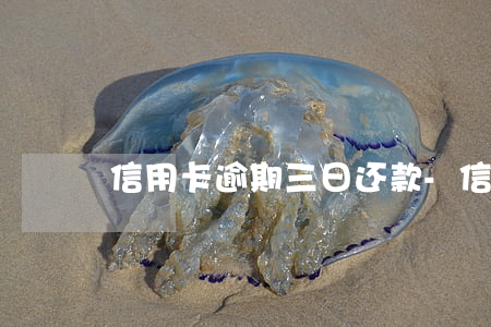 信用卡逾期三日还款-信用卡3天算逾期吗