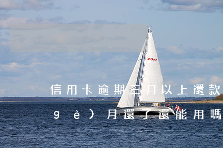 信用卡逾期三月以上還款(信用卡逾期3個(gè)月還了還能用嗎)