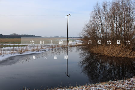 信用卡逾期三月征信(征信报告有一个月的信用卡逾期)