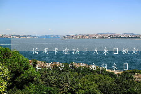信用卡逾期三月未還被起訴(現(xiàn)在我信用卡逾期未還)