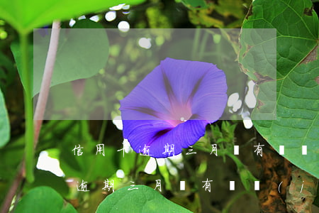 信用卡逾期三月沒有凍結(jié)(信用卡逾期三月沒有凍結(jié)怎么還款)