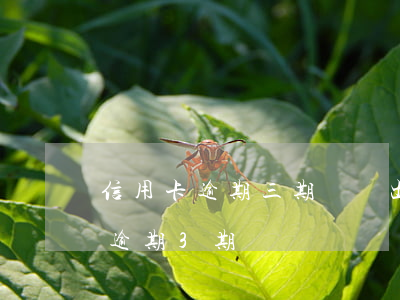 信用卡逾期三期賬單出來(lái)(信用卡逾期3期)