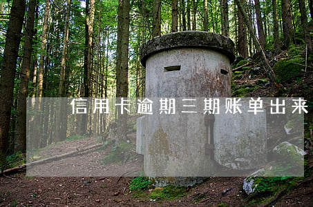 信用卡逾期三期账单出来(三季度信用卡逾期)