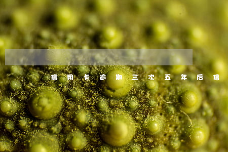 信用卡逾期三次五年后(信用卡5萬逾期三年)
