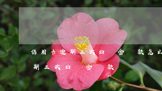 信用卡逾期三次公積金貸款怎么辦（信用卡逾期三次公積金貸款）