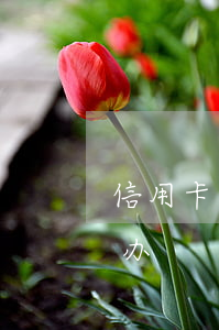 信用卡逾期三次办理房贷 房贷3次逾期怎么办