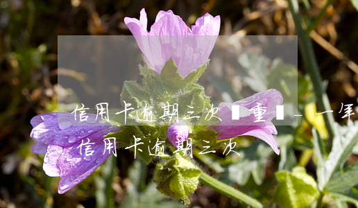 信用卡逾期三次嚴重嗎-一年內(nèi)信用卡逾期三次