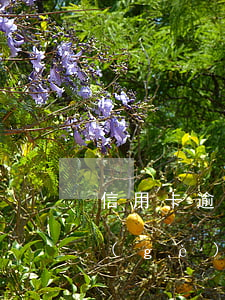 信用卡逾期三次會(huì)黑名單嗎(3個(gè)月逾期肯定進(jìn)黑名單嗎)