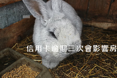 信用卡逾期三次會影響房貸嗎