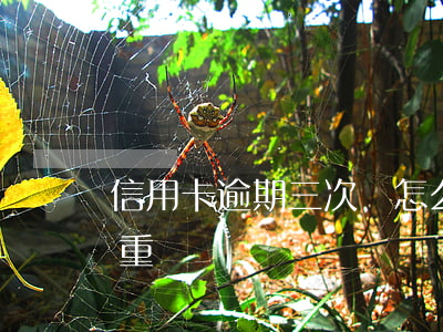 信用卡逾期三次會怎么樣(信用卡逾期三次嚴重嗎)