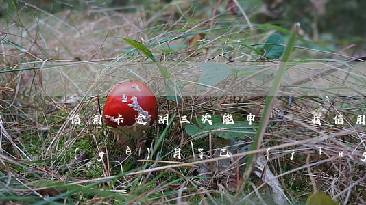 信用卡逾期三次能申訴嗎 我信用卡逾期三個(gè)月了已經(jīng)被起訴了怎么辦