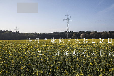 信用卡逾期三次能貸款嗎(信用卡連續(xù)三個月逾期可以貸款嗎)