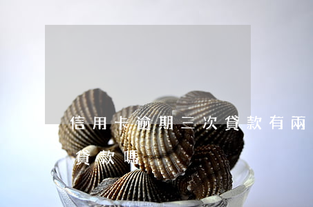 信用卡逾期三次貸款(有兩次信用卡逾期可以貸款嗎)