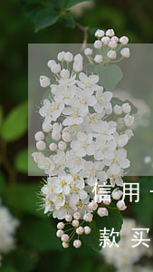 信用卡逾期三次还能办车贷吗(逾期三次能贷款买车吗)