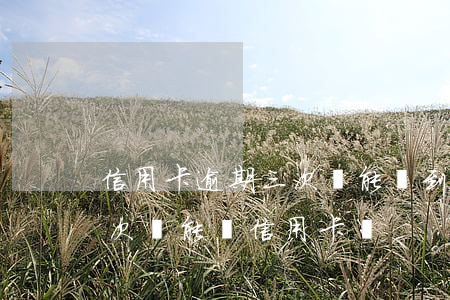 信用卡逾期三次還能貸到房貸嗎(房貸逾期兩次還能辦信用卡嗎)