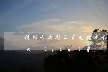 信用卡逾期三百元(信用卡300塊錢逾期5天嚴(yán)重嗎)