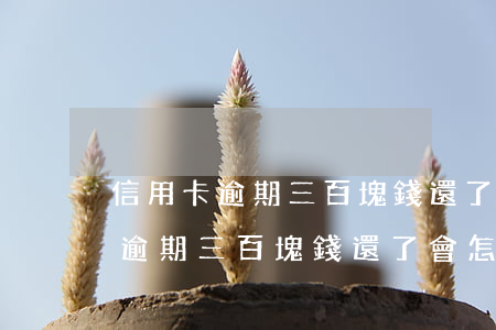 信用卡逾期三百塊錢還了會怎么樣-信用卡逾期三百塊錢還了會怎么樣嗎