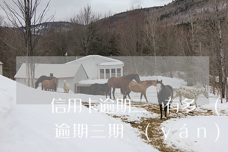 信用卡逾期三筆有多嚴(yán)重(信用卡逾期三期嚴(yán)重嗎)