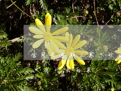 信用卡逾期三累六什么意思(征信逾期连三累六有什么后果)