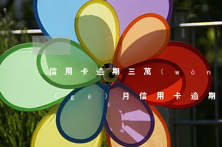 信用卡逾期三萬(wàn)利息要多少一個(gè)月(信用卡逾期三萬(wàn)利息要多少一個(gè)月的)