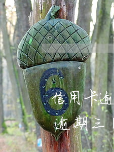 信用卡逾期三萬(wàn)卡已停了(信用卡逾期三萬(wàn)卡已停了)