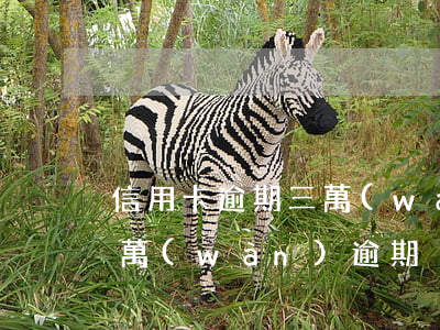 信用卡逾期三萬(wàn)多后果(信用卡3萬(wàn)逾期)