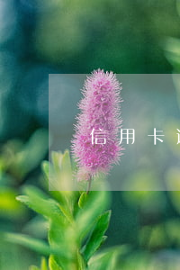 信用卡逾期三萬(wàn)多起訴