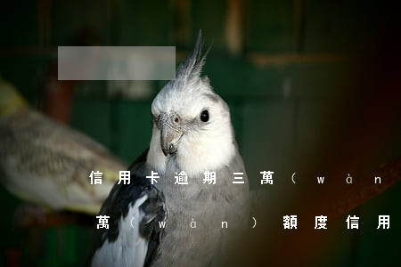 信用卡逾期三萬(wàn)金額算大算小 3萬(wàn)額度信用卡逾期一年要還多少錢