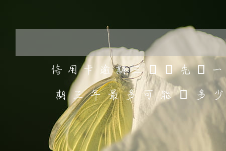 信用卡逾期三萬塊先還一萬(一萬的信用卡逾期三年,最多可能還多少錢)