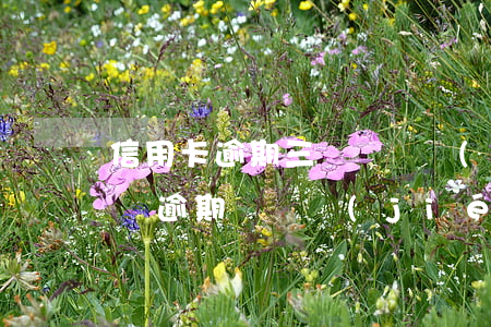 信用卡逾期三萬會凍結(jié)房子嗎(房貸逾期會凍結(jié)信用卡嗎)