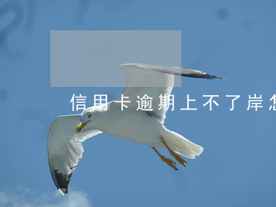 信用卡逾期上不了岸怎么办