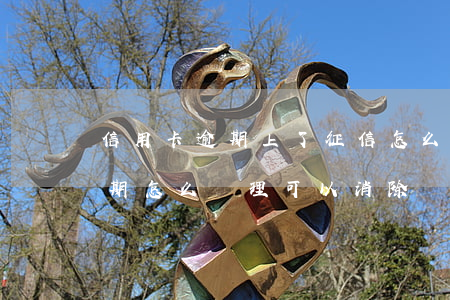 信用卡逾期上了征信怎么銷(征信有信用卡逾期怎么處理可以消除)