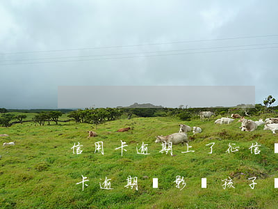 信用卡逾期上了征信會影像孩子嗎-欠信用卡逾期會影響孩子嗎