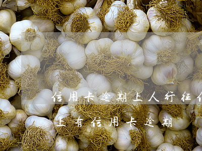 信用卡逾期上人行征信記錄(想貸款但是征信上有信用卡逾期記錄怎么辦)