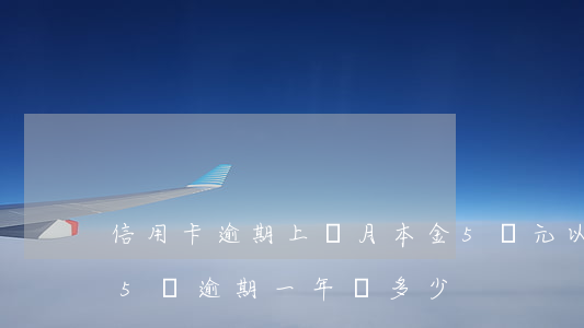 信用卡逾期上個月本金5萬元以上-信用卡5萬逾期一年滾多少