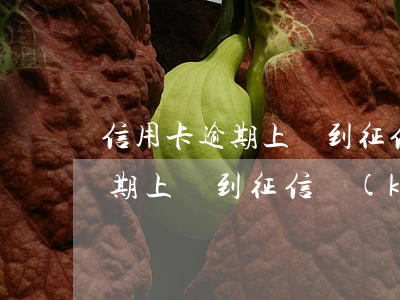 信用卡逾期上傳到征信庫(kù)(信用卡逾期上傳到征信庫(kù))