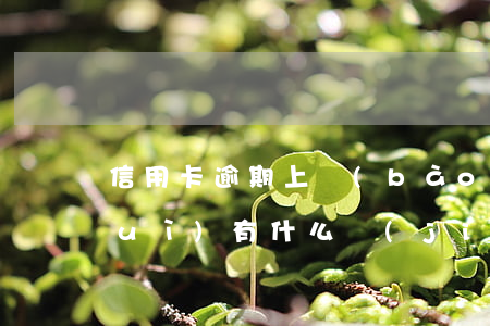 信用卡逾期上報(bào)中央銀行會(huì)有什么結(jié)果-信用卡逾期上報(bào)中央銀行會(huì)有什么結(jié)果嗎