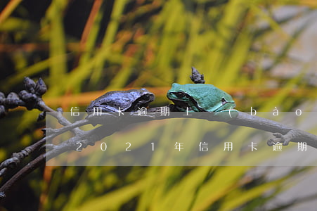 信用卡逾期上報(bào)人行有什么后果(2021年信用卡逾期立案新標(biāo)準(zhǔn))