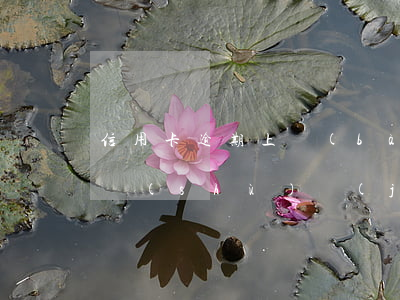 信用卡逾期上報(bào)基礎(chǔ)數(shù)據(jù)庫(kù)(信用卡 逾期記錄)