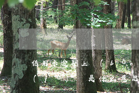 信用卡逾期上報(bào)數(shù)據(jù)庫是什么意思-信用卡逾期上報(bào)數(shù)據(jù)庫是什么意思啊