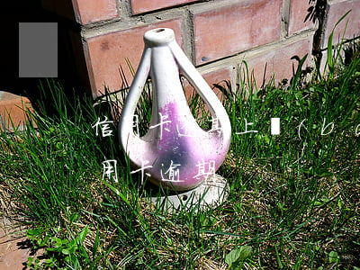 信用卡逾期上報(bào)省行怎么辦(有信用卡逾期)