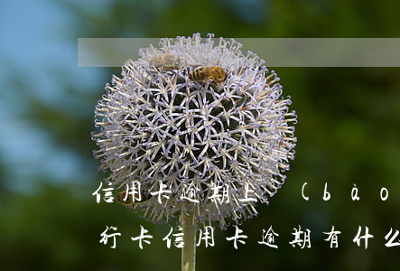 信用卡逾期上報(bào)至金融怎么辦(銀行卡信用卡逾期有什么辦)