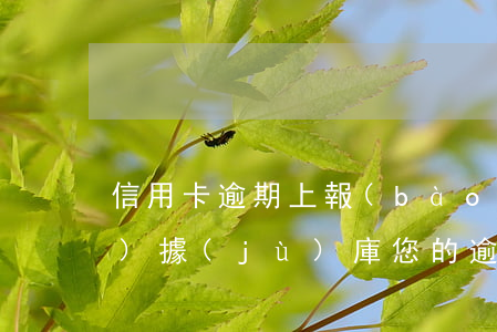 信用卡逾期上報(bào)金融數(shù)據(jù)庫(您的逾期記錄將上報(bào)金融信用信息基礎(chǔ)數(shù)據(jù)庫)