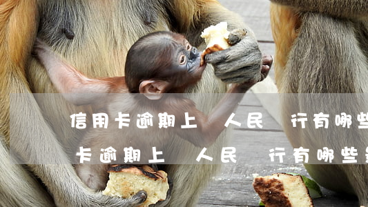 信用卡逾期上報人民銀行有哪些影響-信用卡逾期上報人民銀行有哪些影響