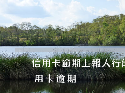 信用卡逾期上報人行能撤回嗎(銀行會報案信用卡逾期)