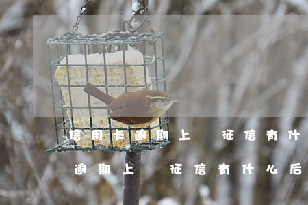 信用卡逾期上報征信有什么后果嗎-信用卡逾期上報征信有什么后果嗎知乎