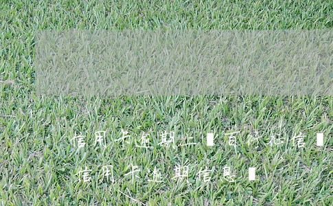 信用卡逾期上報百行征信媽(百行征信能查到信用卡逾期信息嗎)